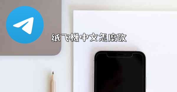 纸飞機中文怎麼改