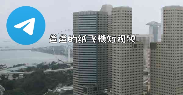 爸爸的纸飞機短视频