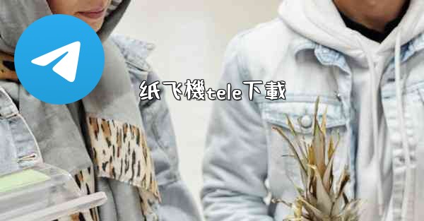 纸飞機tele下載