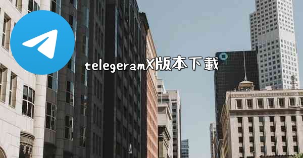 telegeramX版本下載