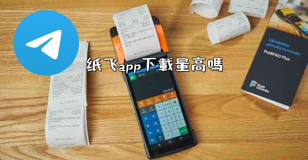 纸飞app下載量高嗎