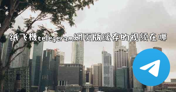 纸飞機telegeram網页版缓存的视频在哪