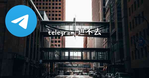 telegram 进不去