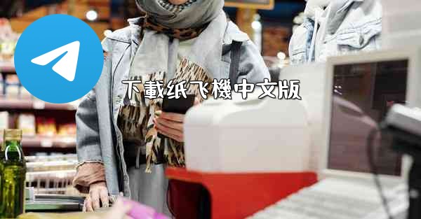下載纸飞機中文版