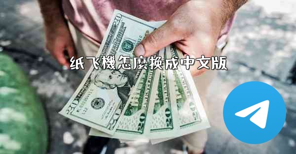 纸飞機怎麼换成中文版