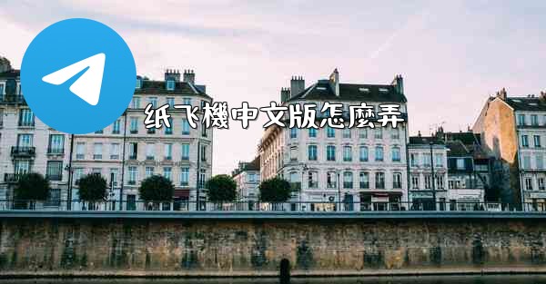 纸飞機中文版怎麼弄