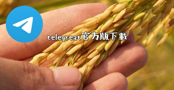 telegreat官方版下載