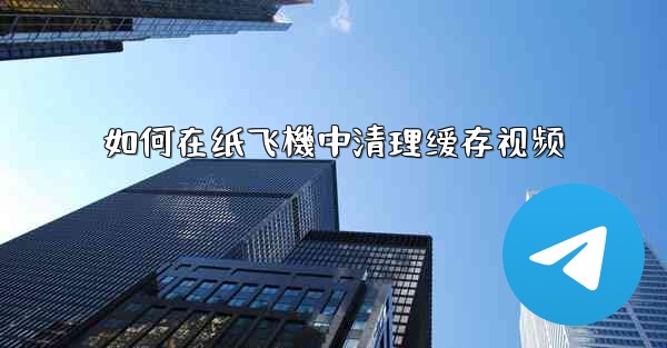 <b>如何在纸飞機中清理缓存视频</b>