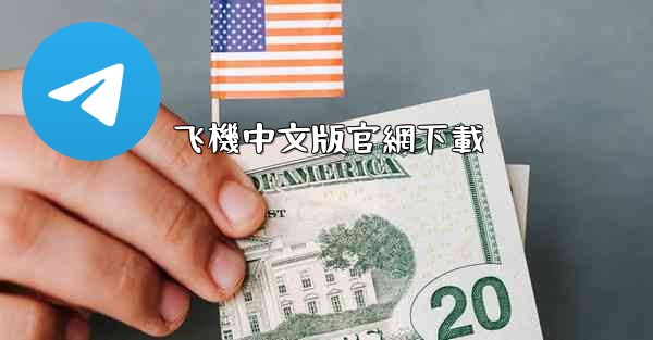 飞機中文版官網下載