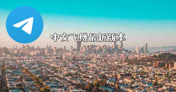 中文飞機最新版本