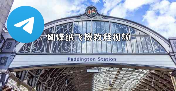 蝴蝶纸飞機教程视频