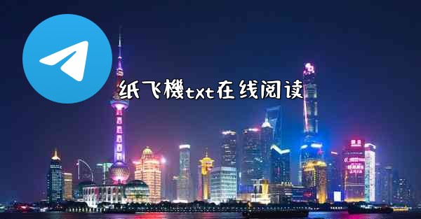 纸飞機txt在线阅读