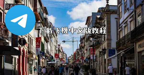 下載飞機中文版教程