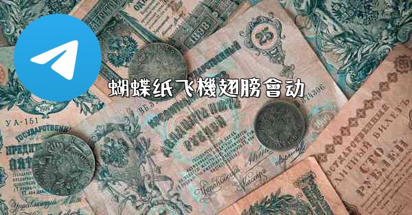 <b>蝴蝶纸飞機翅膀會动</b>