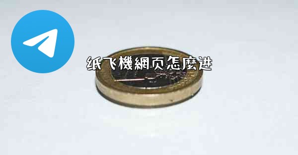 纸飞機網页怎麼进