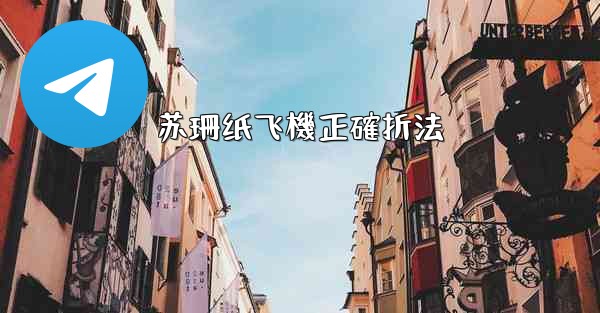 <b>苏珊纸飞機正確折法</b>