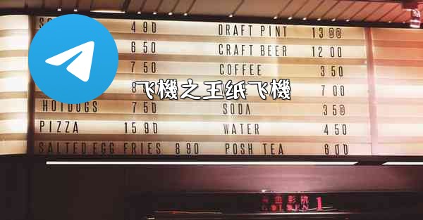 飞機之王纸飞機