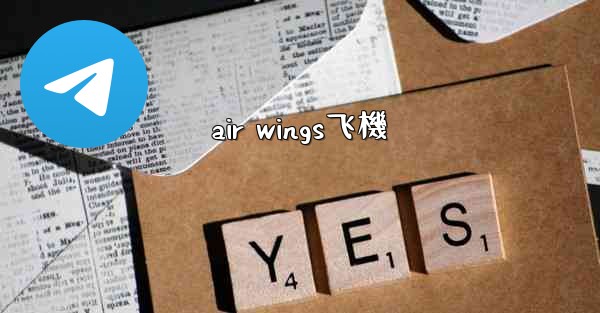 air wings飞機