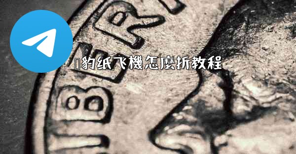 猎豹纸飞機怎麼折教程