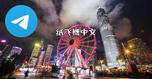 纸飞機中文