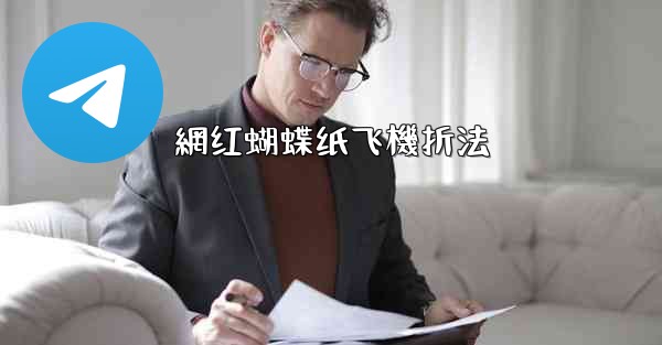 網红蝴蝶纸飞機折法