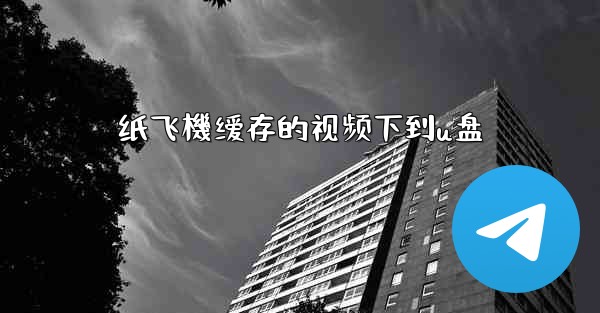 纸飞機缓存的视频下到u盘