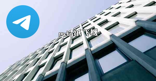 <b>pubg纸飞機</b>