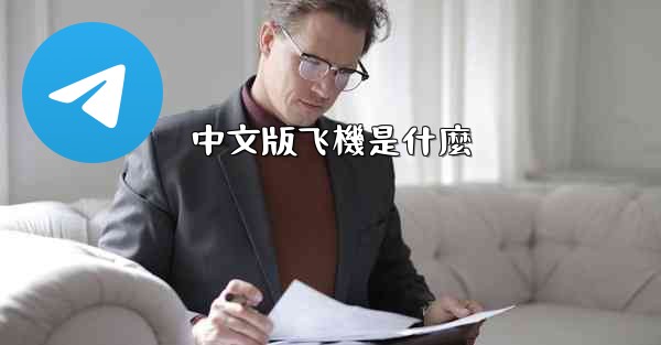 中文版飞機是什麼