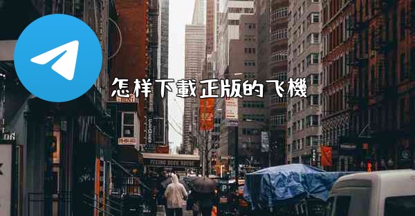 <b>怎样下載正版的飞機</b>