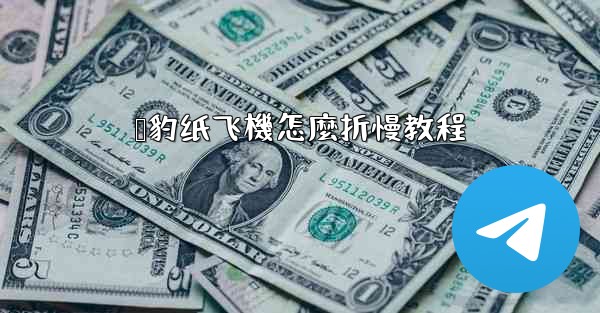 猎豹纸飞機怎麼折慢教程