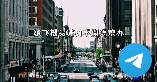 纸飞機pc端打不開怎麼办