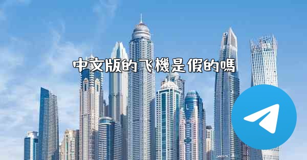 中文版的飞機是假的嗎