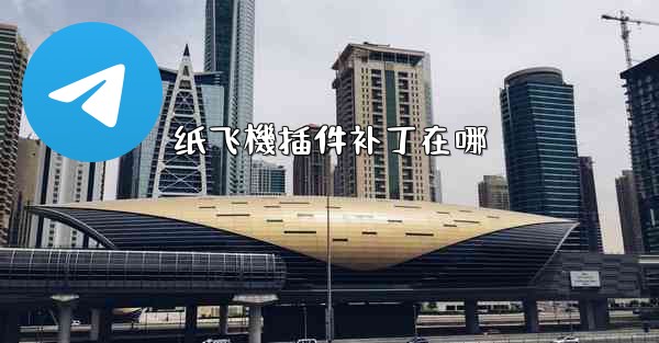 纸飞機插件补丁在哪