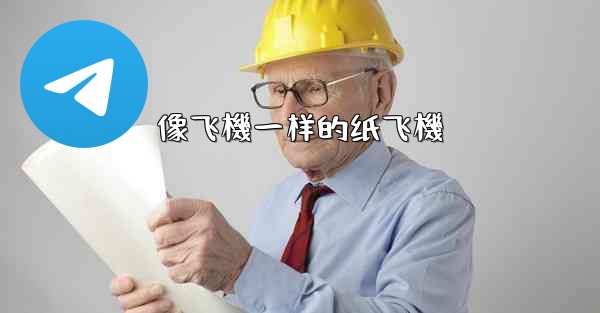 <b>像飞機一样的纸飞機</b>