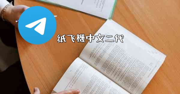 纸飞機中文二代