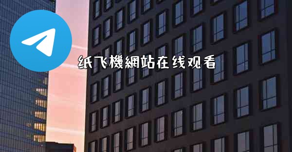 纸飞機網站在线观看