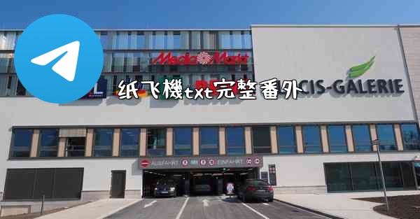 纸飞機txt完整番外