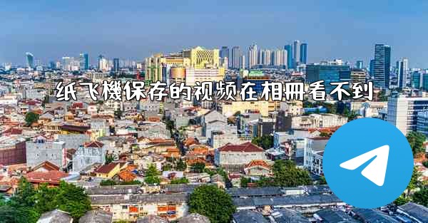 纸飞機保存的视频在相冊看不到