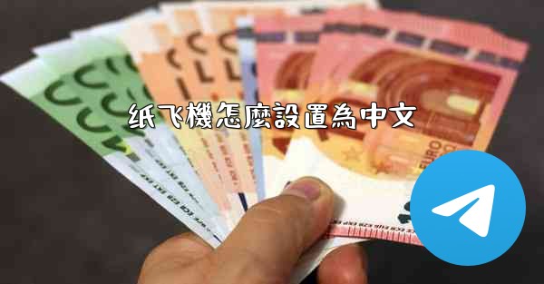 纸飞機怎麼設置為中文