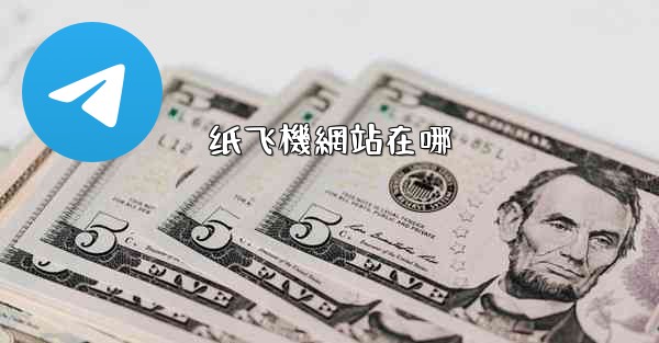 纸飞機網站在哪