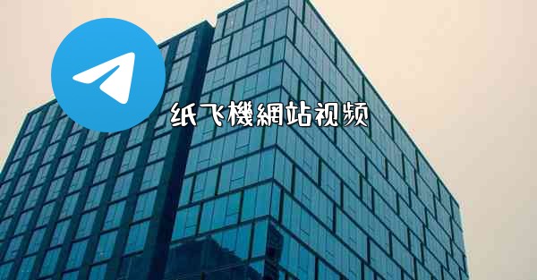 纸飞機網站视频