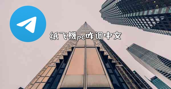 纸飞機pc咋调中文