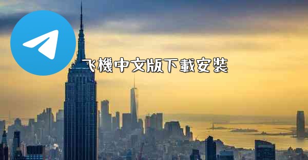 飞機中文版下載安裝