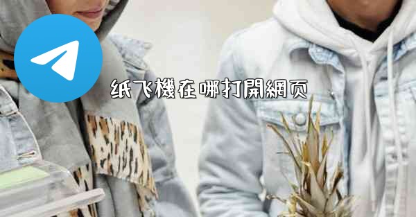 <b>纸飞機在哪打開網页</b>