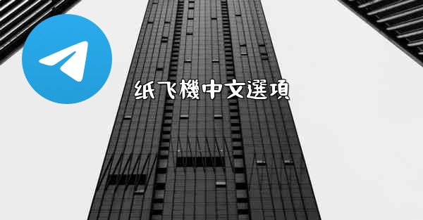 纸飞機中文選項