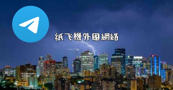 纸飞機外國網絡