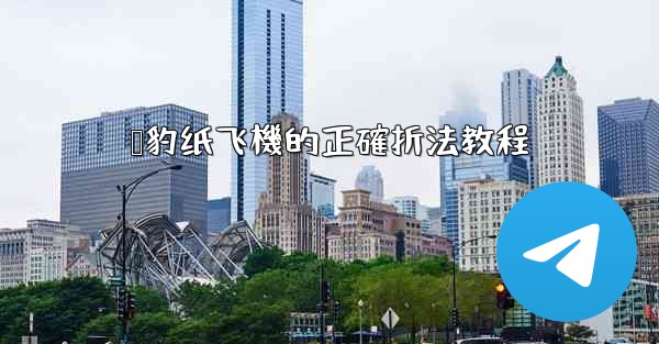 猎豹纸飞機的正確折法教程