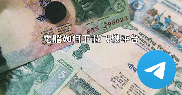 <b>電腦如何下載飞機平台</b>