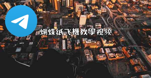 蝴蝶纸飞機教學视频