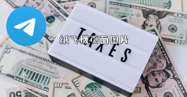 纸飞機页面图片